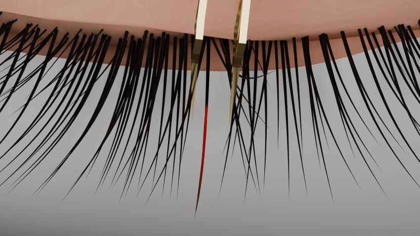Eyelash Extensions Masterclass ONLINE + Kit